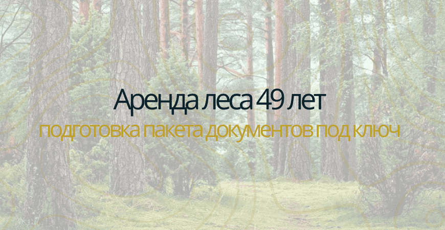 Аренда леса на 49 лет Аренда леса на 49 лет в Тосно